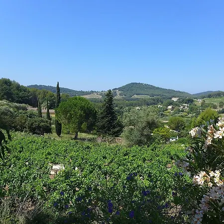 Apartmán L'olivia La Madrague
